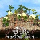 윤*보