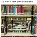 스텔라이 이미지