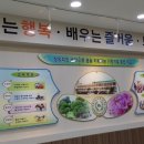 정교초등학교 이미지