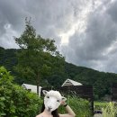 씨유 안락푸른점 | 엄마와 함께한 정선 힐링 여행, 파크로쉬 리조트 앤 웰니스 호캉스 후기