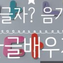 에버스스포렉스 이미지