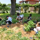 현덕초등학교광덕분교장 이미지