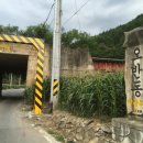 야초목장 이미지