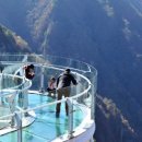 스카이워크(아리힐스) | "발이 후들거렸는데 인생샷 건졌어요!" 정선 아리힐스 스카이워크, 솔직 후기 대방출