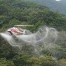 보성항공