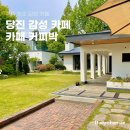 당진초교 | 당진 주택개조 카페 커피박 충남 가볼 만한 곳 베이커리 맛집 추천