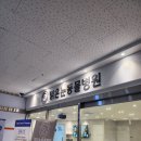 맑은눈 동물병원 | 대전 강아지 안과병원 : 맑은눈 동물병원