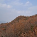 2021-주165 Daum카페
