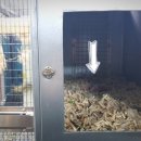 주식회사 생태경영연구원 이미지