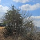 노문리체육공원 이미지