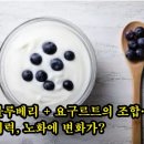 블루베리 + 요구르트의 조합… 시력, 노화에 변화가? 이미지