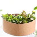 베네포월드 이미지