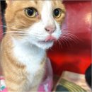 아이조아요양호텔 이미지