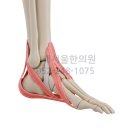 새서울한의원 이미지