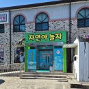 자연아놀자박물관 | 강릉 아이와 가볼 만한 곳 자연아놀자｜ 동물교감 생태체험 박물관