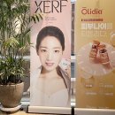 더샤인의원 이미지