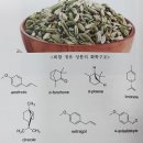 천연향의 이론과 실제 72강 - 팔각회향 향로차(香露茶 : Illicium aroma dew tea-therapy) 이미지