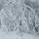 장곡초교 이미지