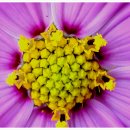 경천 농장 이미지