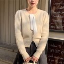 소르네일 이미지