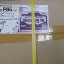 월드피에이디
