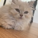 작고 소중해 이미지