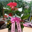 태경기획 - 부천시 원미구 조마루로 421 | 태경기획