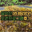 설악산생태탐방원 오전프로그램(설악산 사계절 즐기기 봄나들이) 비오는날 후기