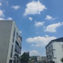 입주청소상가청소이사청소