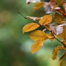 학익고등학교 이미지