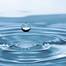 가디언 오브 갤럭시 PT 이미지