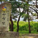 소야 솔밭 이미지