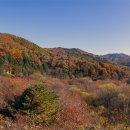 비밀의정원 이미지