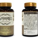 뉴렉스 이미지