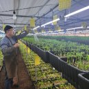 이선호농장 이미지