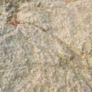 개미행정사 이미지