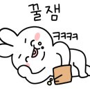 청운오토캠핑장 이미지