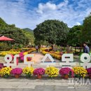 완도수목원 이미지