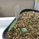 보검복지부님땜시... 이미지