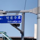 박록주로-1 이미지