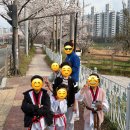 용인대하가태권도 네이버블로그