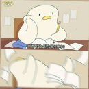 브로우래빗 | 봄이 덜컥 와버렸어