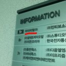 아이리얼