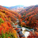 민주지산자연휴양림 중부매일