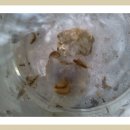 엄마랑유치원 이미지