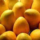 문화그린빌라 이미지