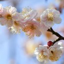 충무공파출소 이미지