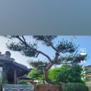 한옥독채 햇살가득