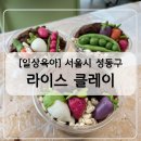 라이스클레이 | [일상육아] 라이스 클레이에 빠지다 성동가족 페스티벌 참여 후기