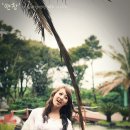 비디오랜드 이미지